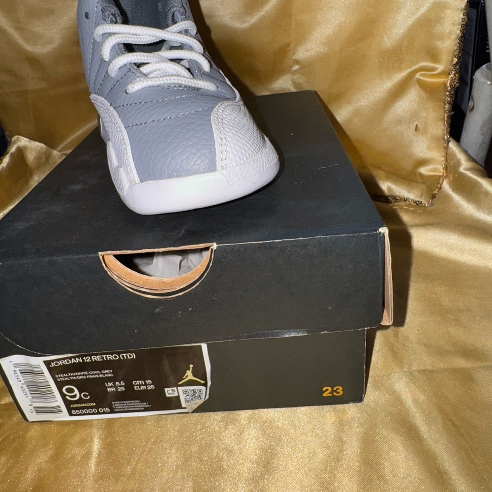 Jordan 12 Retro TD Sneakers in Gray